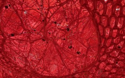 Wenn die Seele entzündet ist – was Körper und Psyche wirklich verbindet