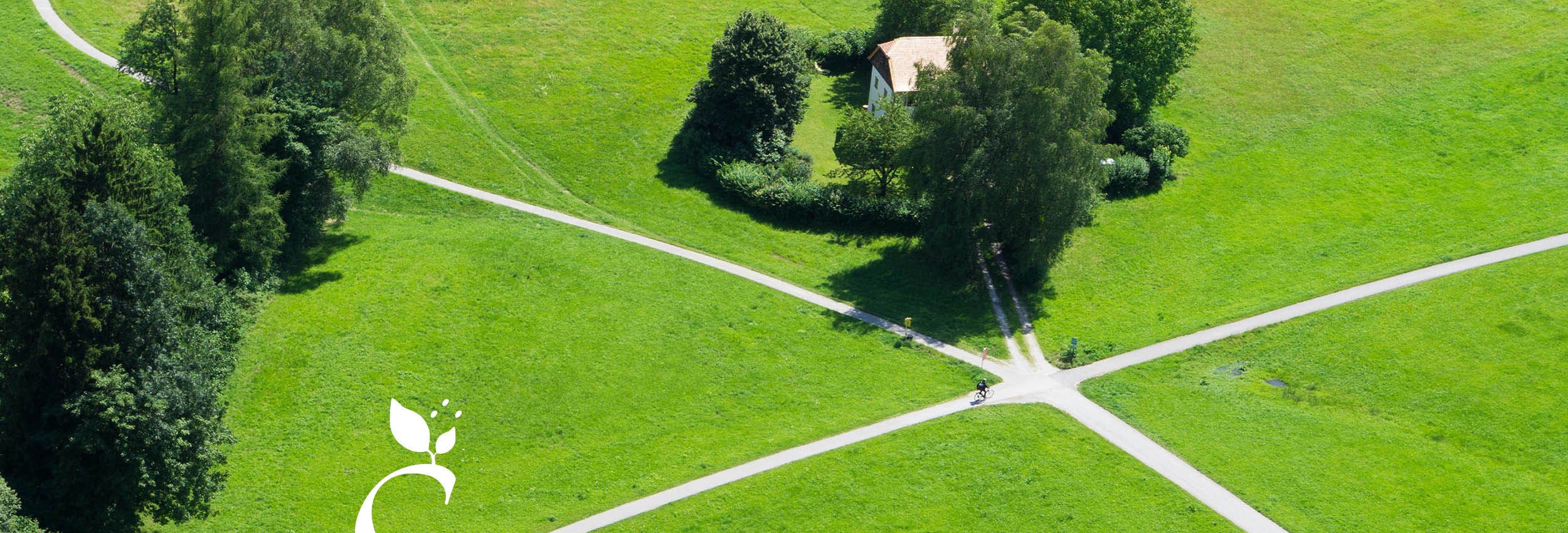 Weggabelung auf grüner Wiese mit Bäumen und Haus, Blick von oben Weggabelung auf grüner Wiese mit Bäumen und Haus, Blick von oben