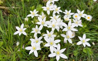 Wenn Trost das Einzige ist, was hilft